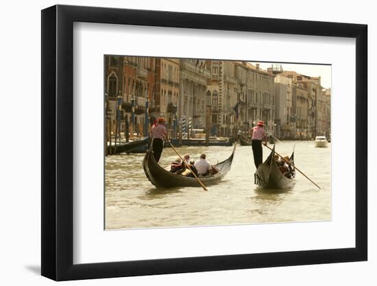 Tourist Ride in Gondolas on the Grand Canal in Venice, Italy-David Noyes-Framed Photographic Print