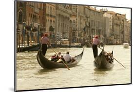 Tourist Ride in Gondolas on the Grand Canal in Venice, Italy-David Noyes-Mounted Photographic Print