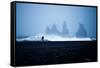 Tourist running on Black Sand Beach, Iceland, Polar Regions-John Alexander-Framed Stretched Canvas