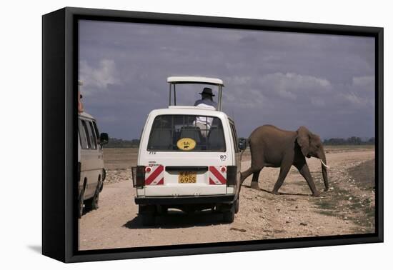 Tourist Safari Vehicle and Elephant, Amboseli National Park, Kenya, East Africa, Africa-Charles Bowman-Framed Stretched Canvas