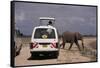 Tourist Safari Vehicle and Elephant, Amboseli National Park, Kenya, East Africa, Africa-Charles Bowman-Framed Stretched Canvas