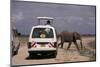 Tourist Safari Vehicle and Elephant, Amboseli National Park, Kenya, East Africa, Africa-Charles Bowman-Mounted Photographic Print