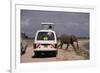 Tourist Safari Vehicle and Elephant, Amboseli National Park, Kenya, East Africa, Africa-Charles Bowman-Framed Photographic Print