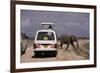 Tourist Safari Vehicle and Elephant, Amboseli National Park, Kenya, East Africa, Africa-Charles Bowman-Framed Photographic Print