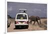 Tourist Safari Vehicle and Elephant, Amboseli National Park, Kenya, East Africa, Africa-Charles Bowman-Framed Photographic Print