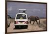 Tourist Safari Vehicle and Elephant, Amboseli National Park, Kenya, East Africa, Africa-Charles Bowman-Framed Photographic Print