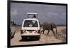 Tourist Safari Vehicle and Elephant, Amboseli National Park, Kenya, East Africa, Africa-Charles Bowman-Framed Photographic Print