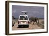 Tourist Safari Vehicle and Elephant, Amboseli National Park, Kenya, East Africa, Africa-Charles Bowman-Framed Photographic Print