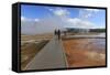 Tourist Taking a Photograph of Grand Prismatic Spring-Eleanor Scriven-Framed Stretched Canvas