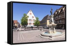 Tourist Train, Fontaine Roesselmann, Place Des Six-Montagnes-Noires, Colmar, Alsace, France, Europe-Markus Lange-Framed Stretched Canvas