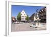 Tourist Train, Fontaine Roesselmann, Place Des Six-Montagnes-Noires, Colmar, Alsace, France, Europe-Markus Lange-Framed Photographic Print