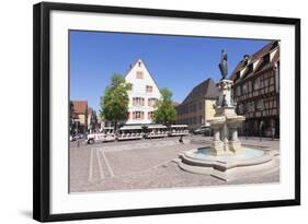 Tourist Train, Fontaine Roesselmann, Place Des Six-Montagnes-Noires, Colmar, Alsace, France, Europe-Markus Lange-Framed Photographic Print