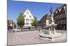 Tourist Train, Fontaine Roesselmann, Place Des Six-Montagnes-Noires, Colmar, Alsace, France, Europe-Markus Lange-Mounted Photographic Print