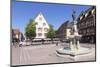 Tourist Train, Fontaine Roesselmann, Place Des Six-Montagnes-Noires, Colmar, Alsace, France, Europe-Markus Lange-Mounted Photographic Print