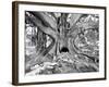 Tourist Trap-Thomas Barbey-Framed Giclee Print