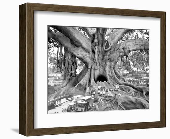 Tourist Trap-Thomas Barbey-Framed Giclee Print