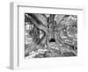 Tourist Trap-Thomas Barbey-Framed Giclee Print