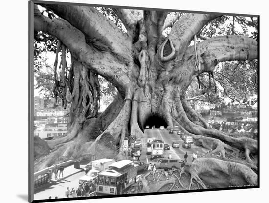 Tourist Trap-Thomas Barbey-Mounted Giclee Print