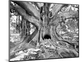 Tourist Trap-Thomas Barbey-Mounted Giclee Print