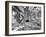 Tourist Trap-Thomas Barbey-Framed Giclee Print