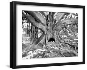 Tourist Trap-Thomas Barbey-Framed Giclee Print