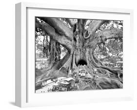 Tourist Trap-Thomas Barbey-Framed Giclee Print