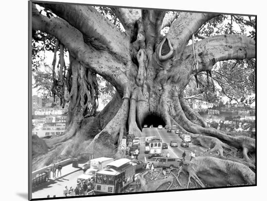 Tourist Trap-Thomas Barbey-Mounted Giclee Print