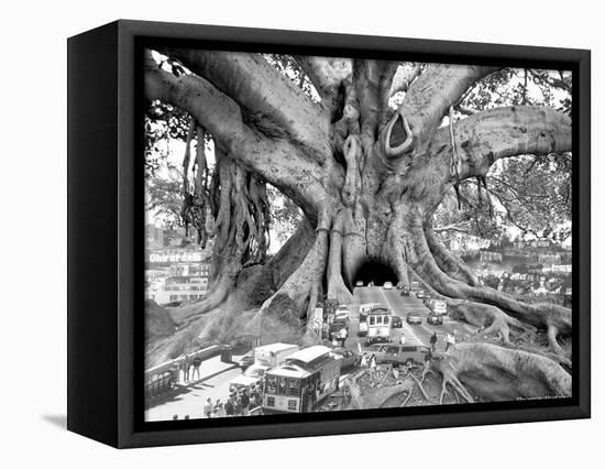 Tourist Trap-Thomas Barbey-Framed Stretched Canvas