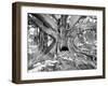 Tourist Trap-Thomas Barbey-Framed Premium Giclee Print