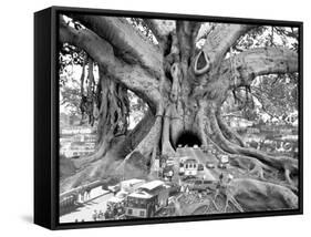 Tourist Trap-Thomas Barbey-Framed Stretched Canvas