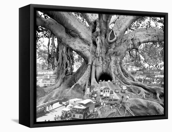 Tourist Trap-Thomas Barbey-Framed Stretched Canvas