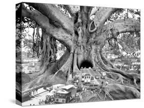 Tourist Trap-Thomas Barbey-Stretched Canvas