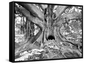 Tourist Trap-Thomas Barbey-Framed Stretched Canvas