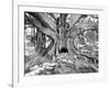 Tourist Trap-Thomas Barbey-Framed Giclee Print