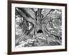 Tourist Trap-Thomas Barbey-Framed Giclee Print