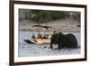 Tourist watching an African elephant (Loxodonta africana), crossing the river Chobe, Chobe National-Sergio Pitamitz-Framed Photographic Print