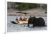 Tourist watching an African elephant (Loxodonta africana), crossing the river Chobe, Chobe National-Sergio Pitamitz-Framed Photographic Print