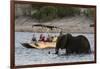 Tourist watching an African elephant (Loxodonta africana), crossing the river Chobe, Chobe National-Sergio Pitamitz-Framed Photographic Print