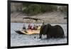 Tourist watching an African elephant (Loxodonta africana), crossing the river Chobe, Chobe National-Sergio Pitamitz-Framed Photographic Print