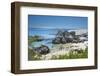 Tourists and Locals Enjoying the Scenic Penguin Beach, Boulders Beach National Park, Simonstown-Kimberly Walker-Framed Photographic Print