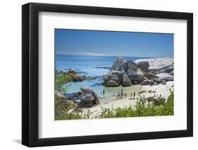 Tourists and Locals Enjoying the Scenic Penguin Beach, Boulders Beach National Park, Simonstown-Kimberly Walker-Framed Photographic Print