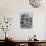 Tourists and Pigeons in Piazza San Marco-Alfred Eisenstaedt-Photographic Print displayed on a wall