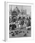 Tourists and Pigeons in Piazza San Marco-Alfred Eisenstaedt-Framed Photographic Print