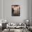 Tourists at Ben Youssef Madrasa, in the Medina in Marrakech, Morocco-David H. Wells-Photographic Print displayed on a wall