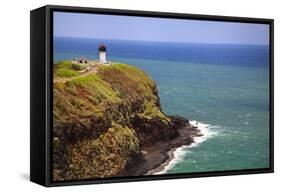 Tourists at Kilauea Lighthouse, Kauai, Hawaii, USA-Jaynes Gallery-Framed Stretched Canvas