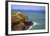 Tourists at Kilauea Lighthouse, Kauai, Hawaii, USA-Jaynes Gallery-Framed Photographic Print