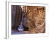 Tourists at Petra, Jordan, Middle East-Neale Clarke-Framed Photographic Print