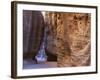 Tourists at Petra, Jordan, Middle East-Neale Clarke-Framed Photographic Print