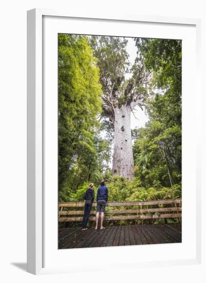 Tourists at Tane Mahuta (Lord of the Forest), the Largest Kauri Tree in New Zealand-Matthew Williams-Ellis-Framed Photographic Print