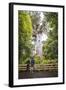 Tourists at Tane Mahuta (Lord of the Forest), the Largest Kauri Tree in New Zealand-Matthew Williams-Ellis-Framed Photographic Print